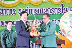 24294071 961464580673733 7612019209156041714 n