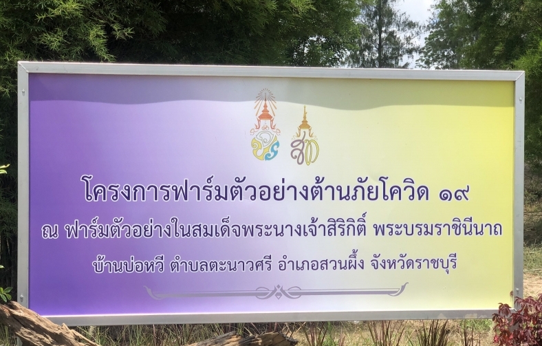 ฟาร์มตัวอย่างต้านภัยโควิด-19