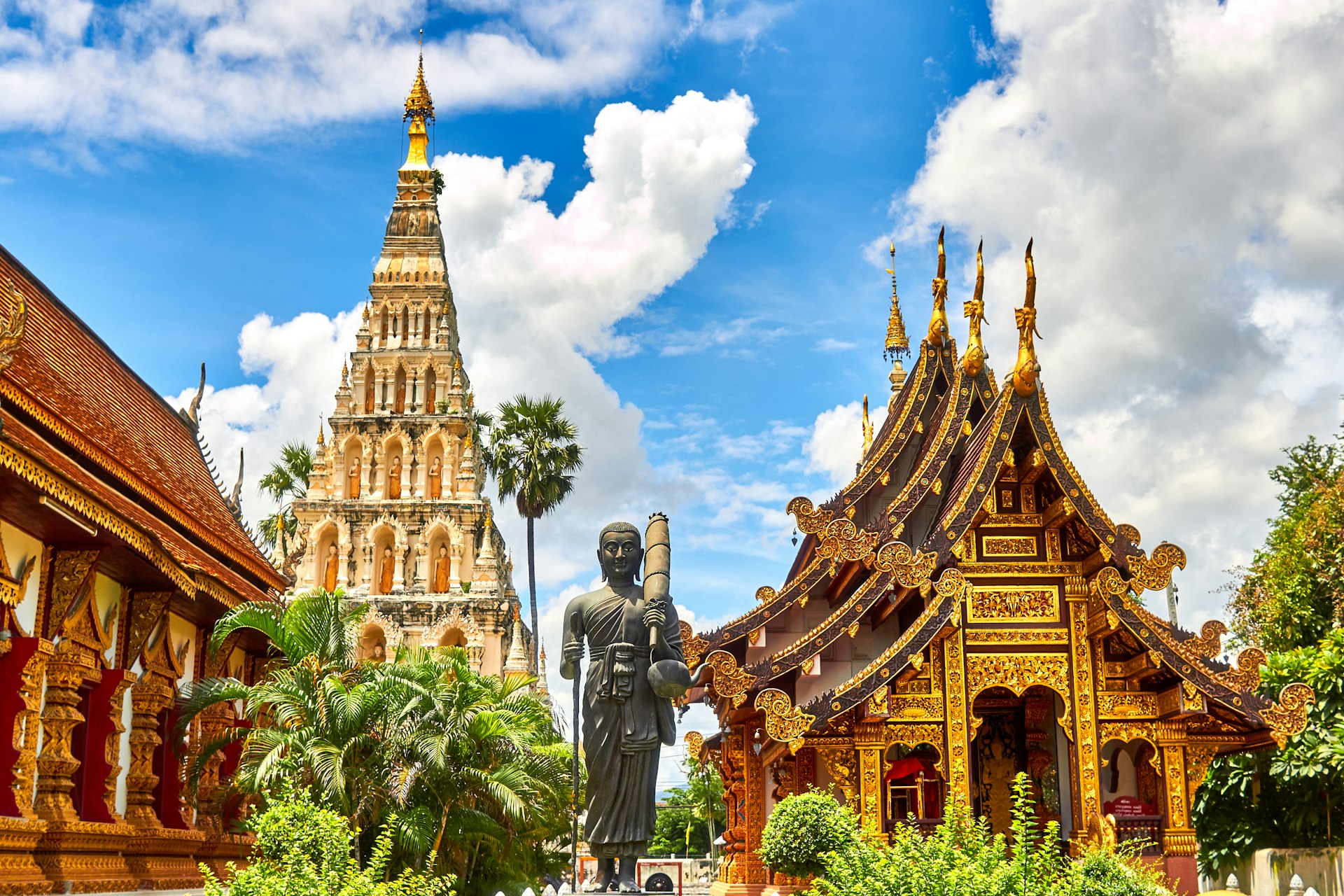 โครงการเกษตรวิชญา จ.เชียงใหม่