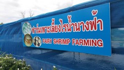 original 1472117315431