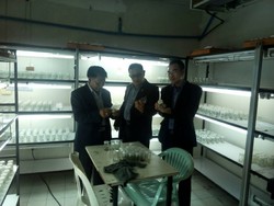 original 1474338916131