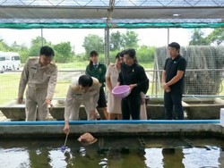 original 1505786159698